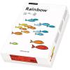 PAPYRUS Rainbow Papier FSC A4 88042696 hellblau, 80g 500 Blatt