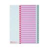KOLMA Register Kolmaflex A4 18.120.03 grau, 20-teilig